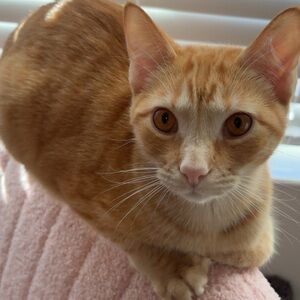 Meet your Posher, Jay